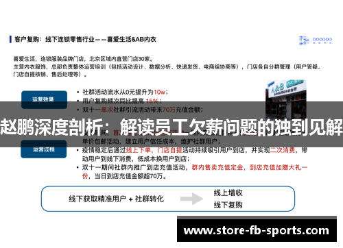 赵鹏深度剖析：解读员工欠薪问题的独到见解