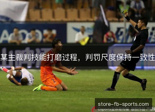 某主裁判技能打磨过程，判罚尺度保持一致性